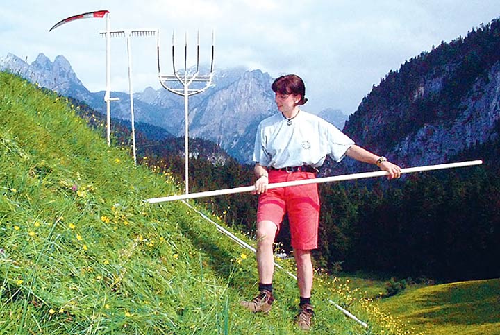 Holz-Sensenstiele von Lofer-Rechen: Erhältlich in fünf verschiedenen, regionalen Varianten für Tirol-Pinzgau-Pongau, Salzburg-Flachgau, Steiermark-Niederösterreich, Innviertel und Mühlviertel.