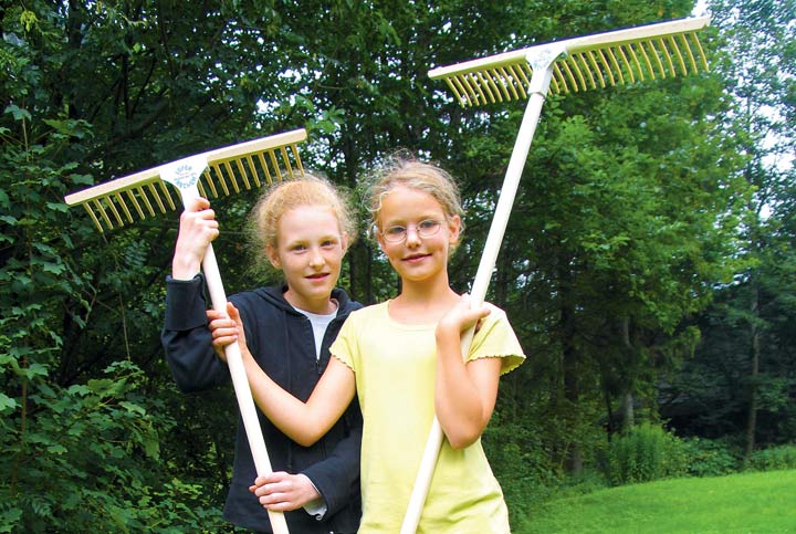 Rakes for the garden and garden landscaping: ideal for general and special care work at golf courses, for rough working tasks within garden landscaping, to plane, flatten or rake concreteand to roll tusk and turf and  to prepare the ground for golf courses.